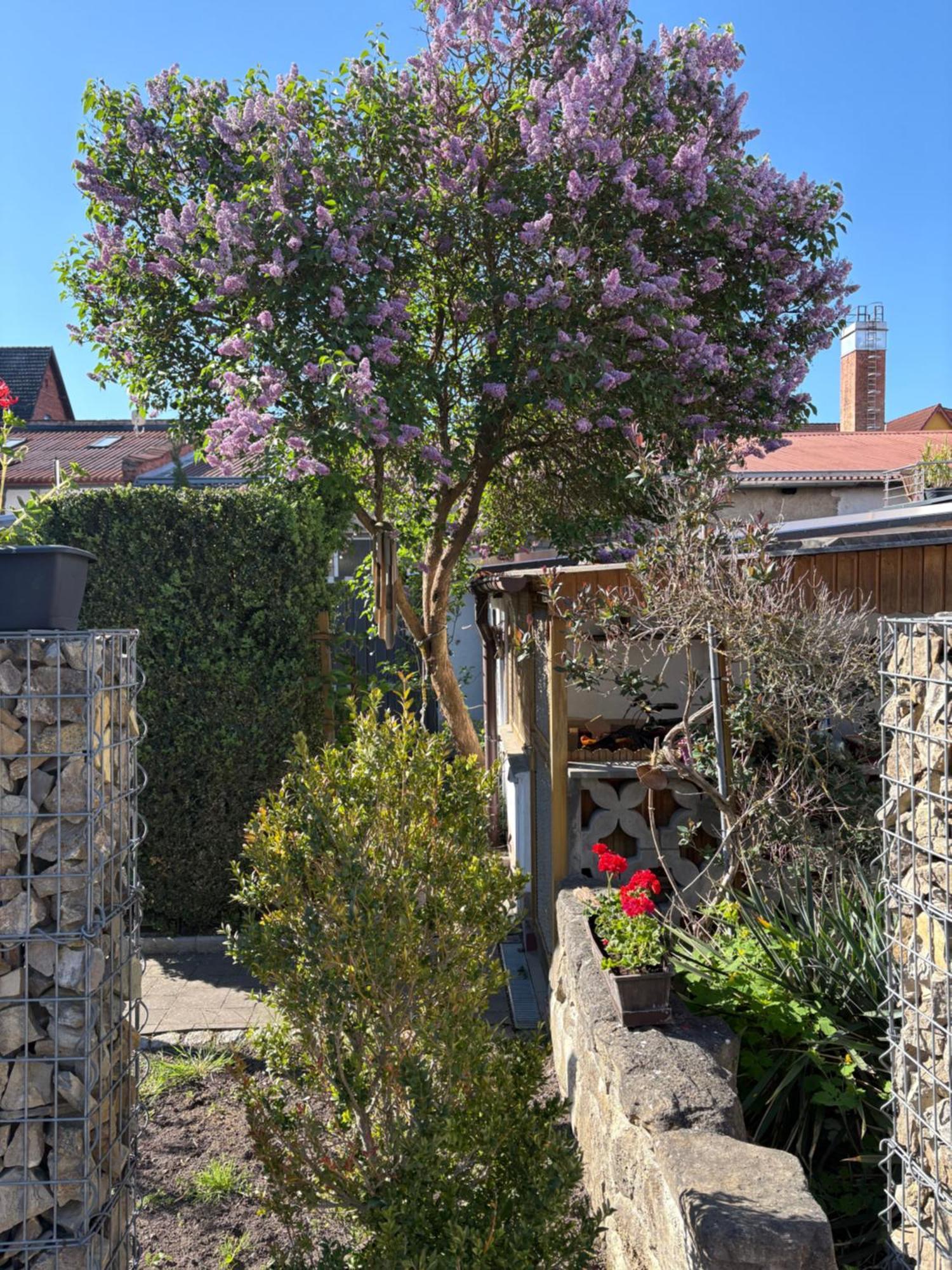 Haus Hannah Meiningen Extérieur photo