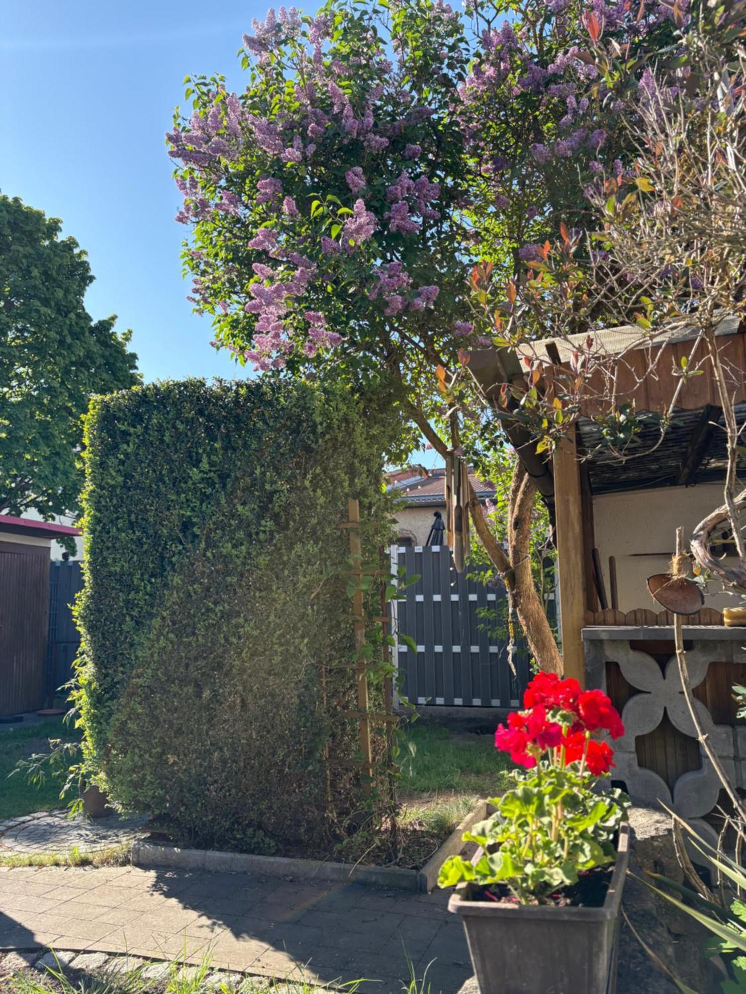 Haus Hannah Meiningen Extérieur photo